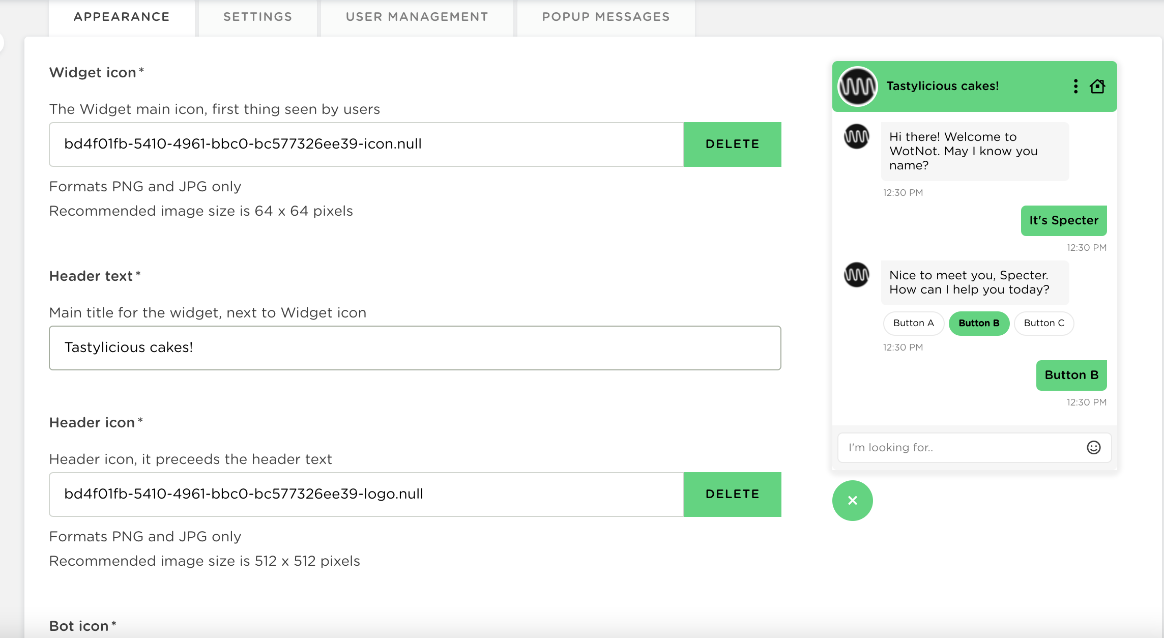 Screen Shot 2023-01-13 at 2.35.10 PM.png Main Web Widget appearance settings